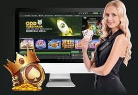 sbobet com